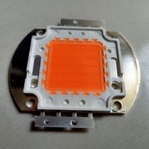 EPILEDS CHIP LED 50W - CÂY TRỒNG