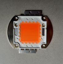 EPILEDS CHIP LED 20W - CÂY TRỒNG