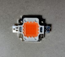 EPILEDS CHIP LED 10W - CÂY TRỒNG